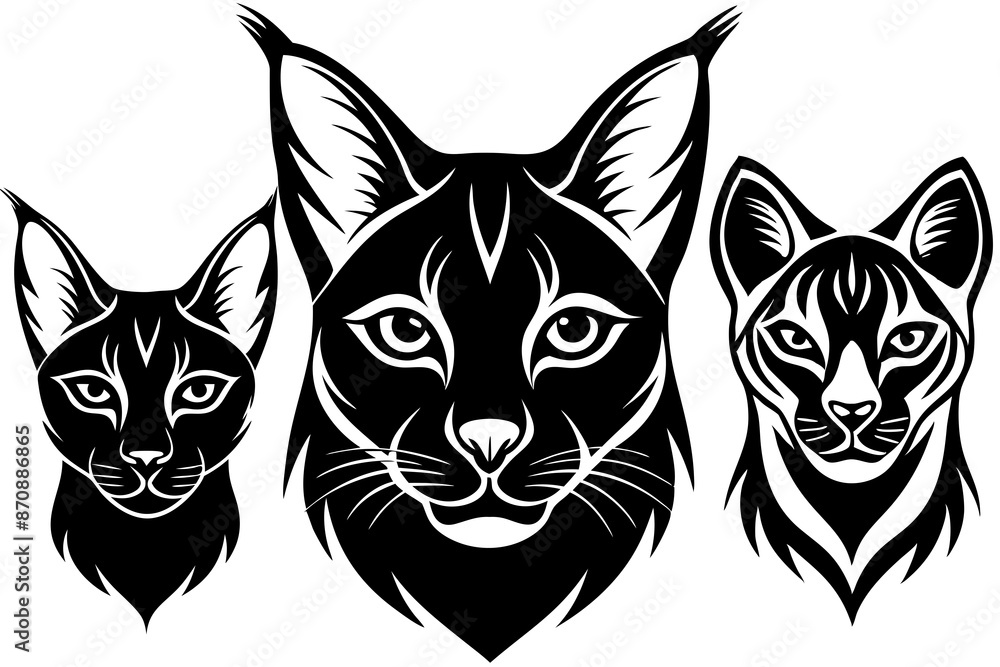 Fototapeta premium eurasian lynx fennec fox fossa haed icon silhouette vector illustration 