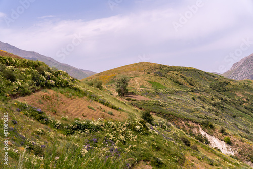 A beautiful mountain landscape with a tree in the middle of the field