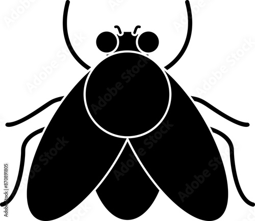 House fly illustration
