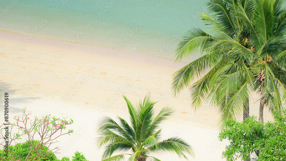 Fototapeta premium beautiful beach with palm tree and white sand in summertime