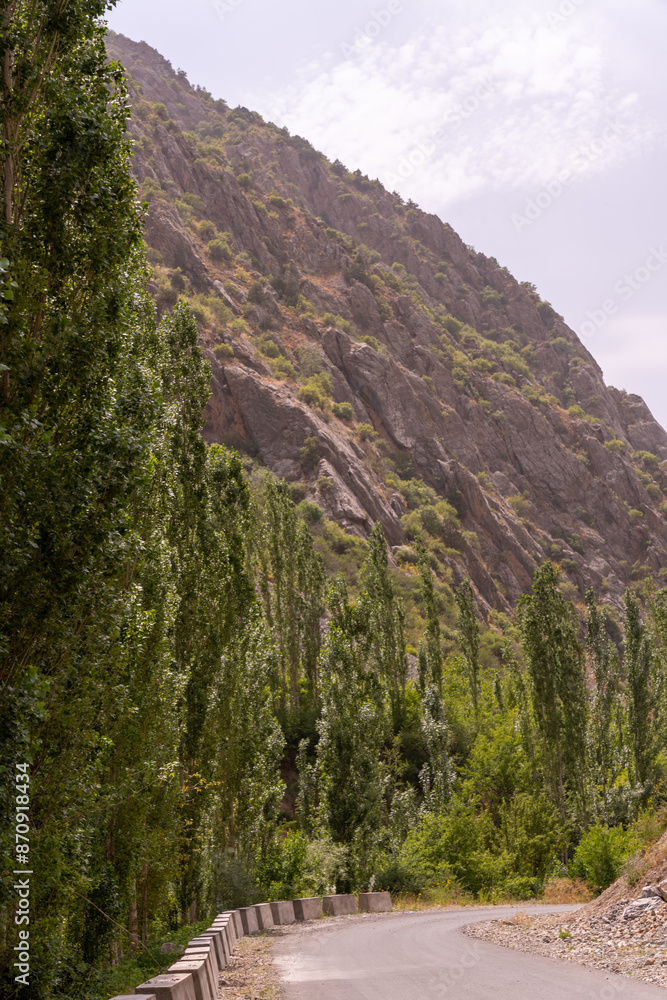 Fototapeta premium A mountain range with a road running through it
