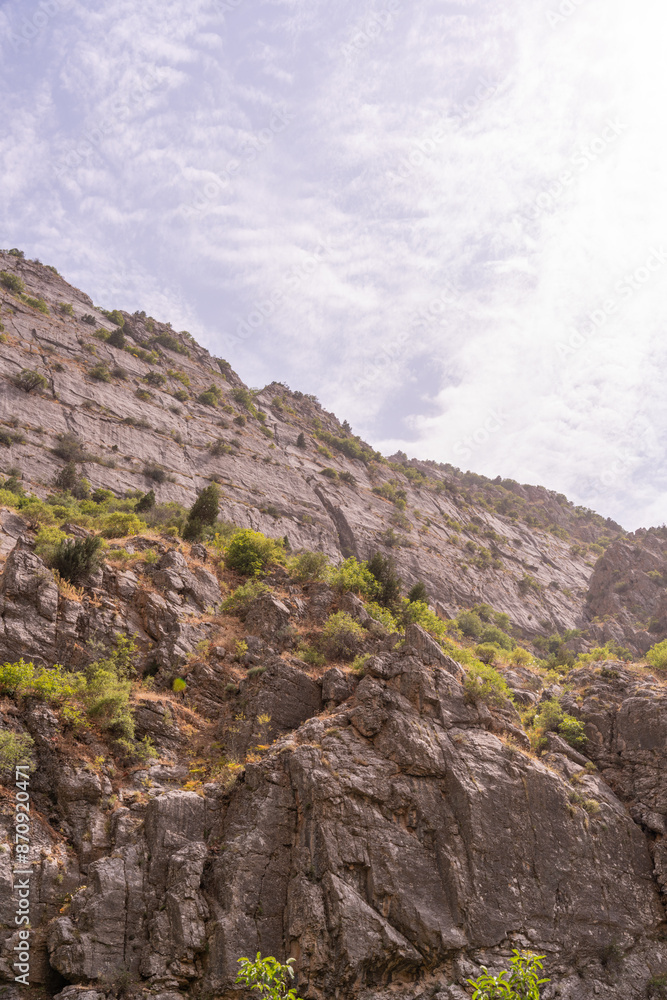 A rocky mountain with a few trees on it A rocky mountain with a few trees on it