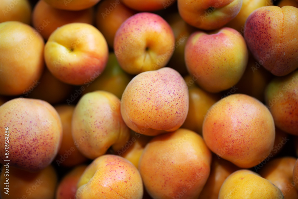 Fruits of juicy apricots in close-up.
Fruits of juicy apricots in close-up.