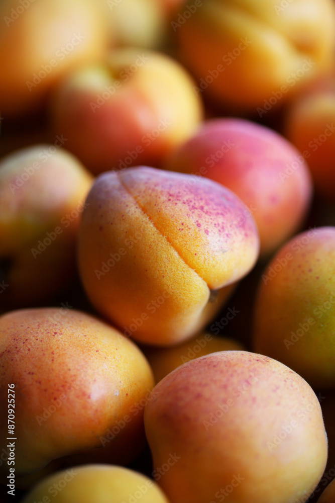 Fruits of juicy apricots in close-up.
Fruits of juicy apricots in close-up.