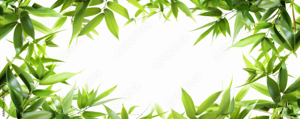 A circular frame of bamboo leaves, isolated on a white background. The slender, green leaves create an elegant and Asian-inspired border. A circular frame of bamboo leaves, isolated on a white background. The slender, green leaves create an elegant and Asian-inspired border.