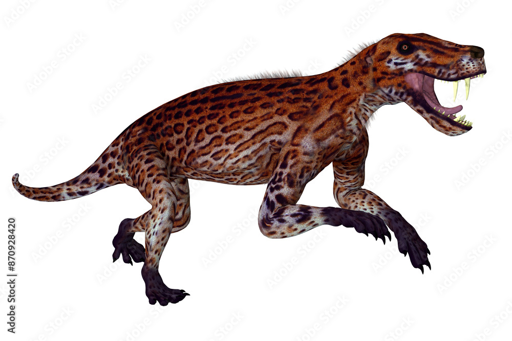 Lycaenops Cat-like Animal - Lycaenops was a carnivorous mammal-like therapsid animal that lived in South Africa during the Permian Period. Lycaenops Cat-like Animal - Lycaenops was a carnivorous mammal-like therapsid animal that lived in South Africa during the Permian Period.