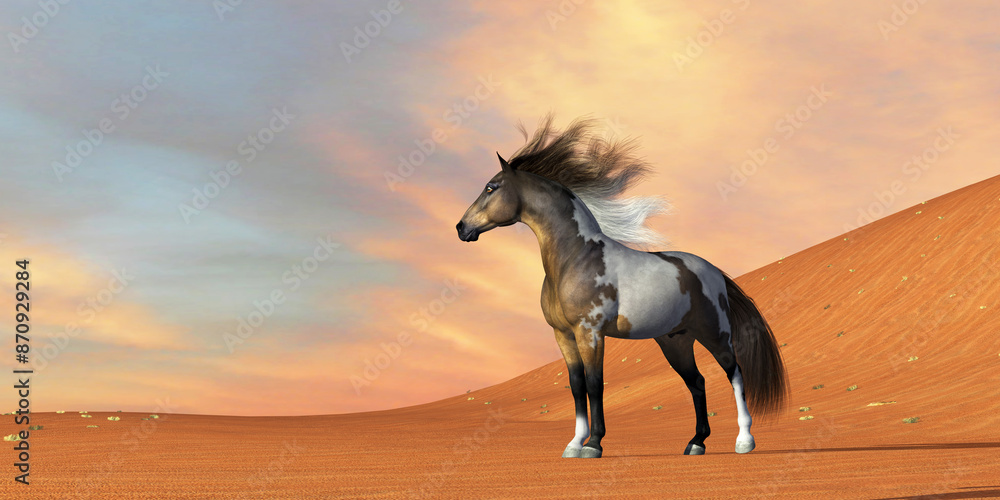 Φωτογραφία Wild Mustang Horse - The Mustang is a wild free-roaming horse of the Western United States and can be various coat colors