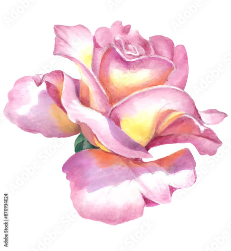 Wallpaper Mural Rose flowers. Hand-drawn illustration done with watercolor pencils. Use printed materials, signs, objects, websites, maps.
 Torontodigital.ca