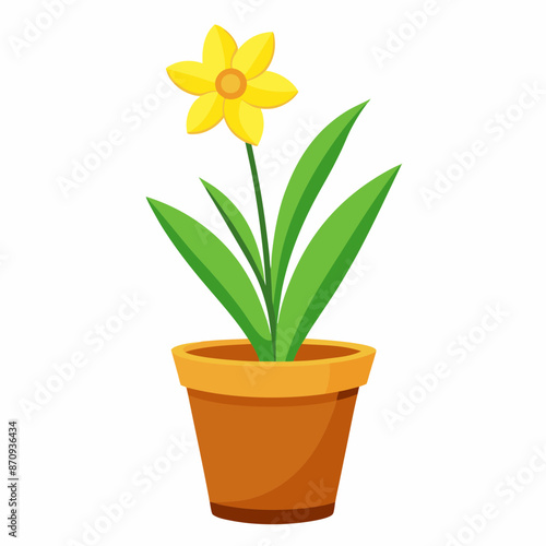 yellow flower in a pot