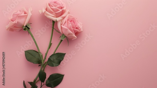 Mockup of a Valentine s and Mother s Day greeting card with pink roses on pink background minimalistic design