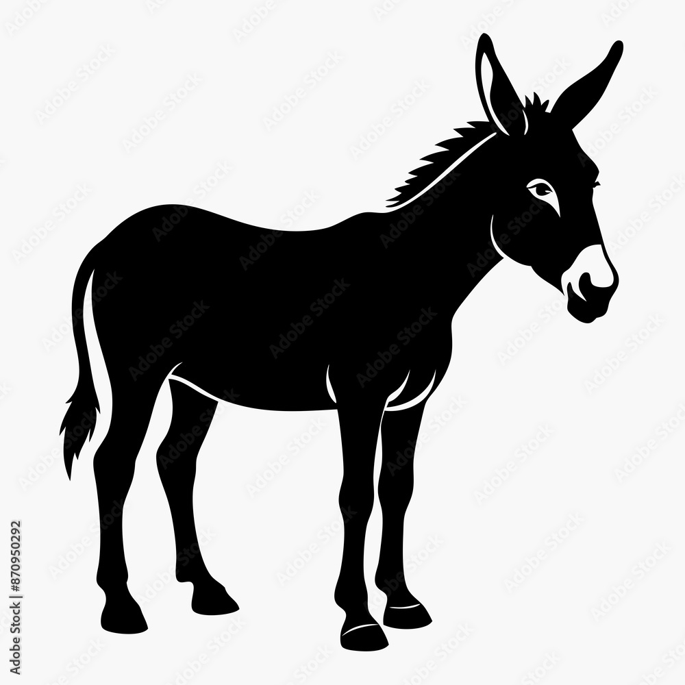 Obraz premium donkey isolated on white background