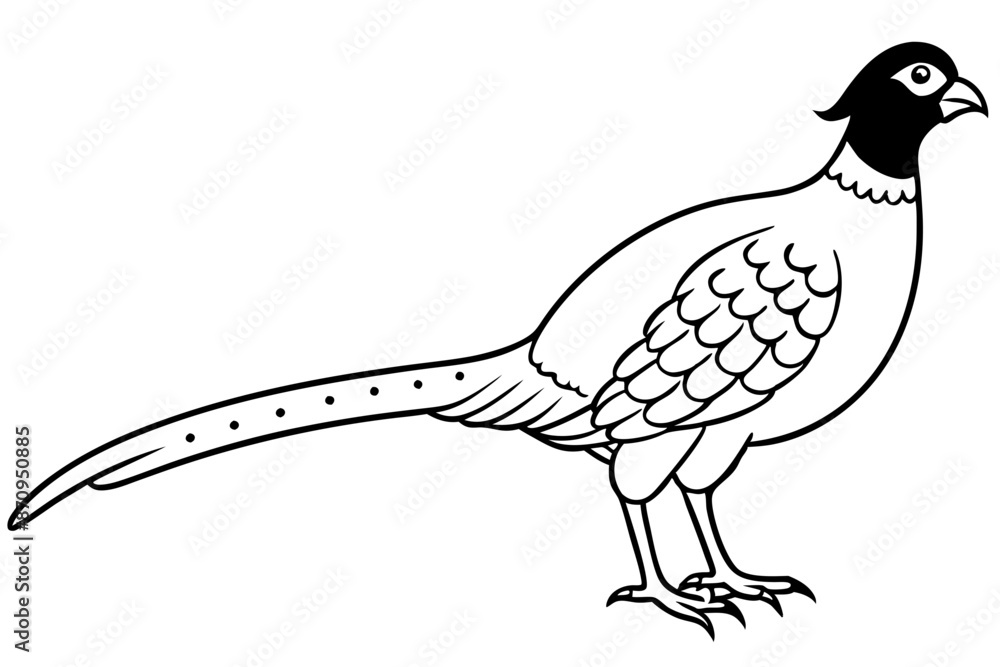 Fototapeta premium Pheasant silhouette vector illustration, Pheasant Bird
