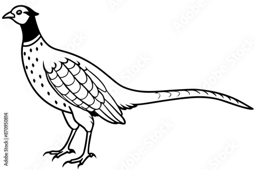 Pheasant silhouette vector illustration, Pheasant Bird