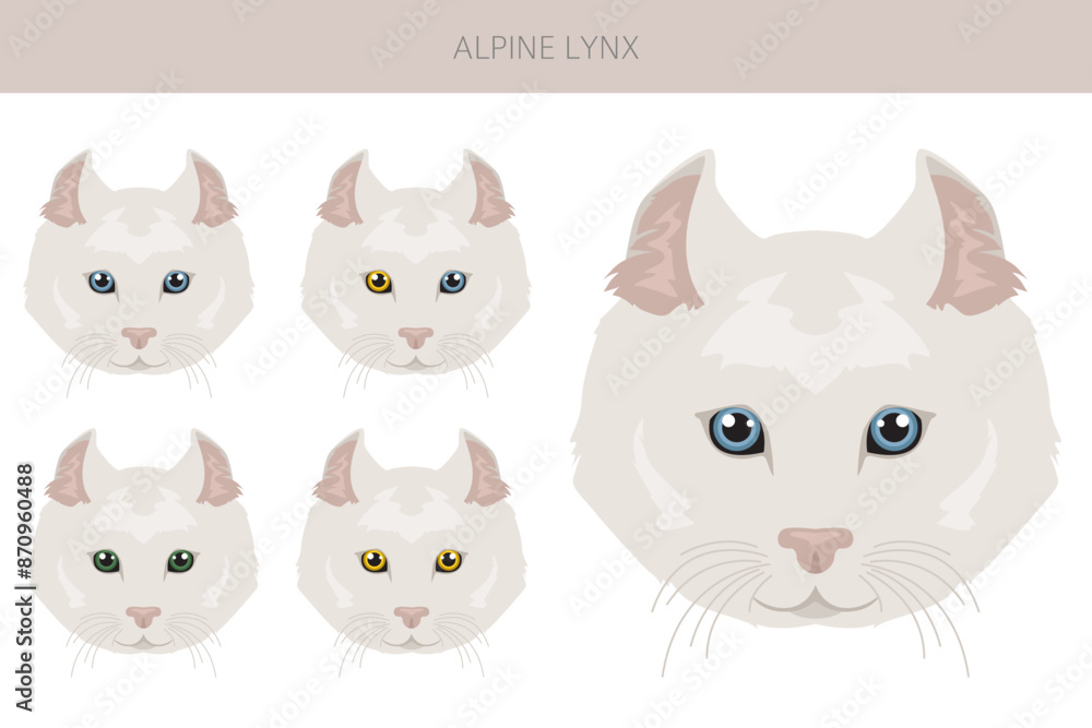 Alpine Lynx clipart. Highlander, All coat colors set. All cat breeds ...