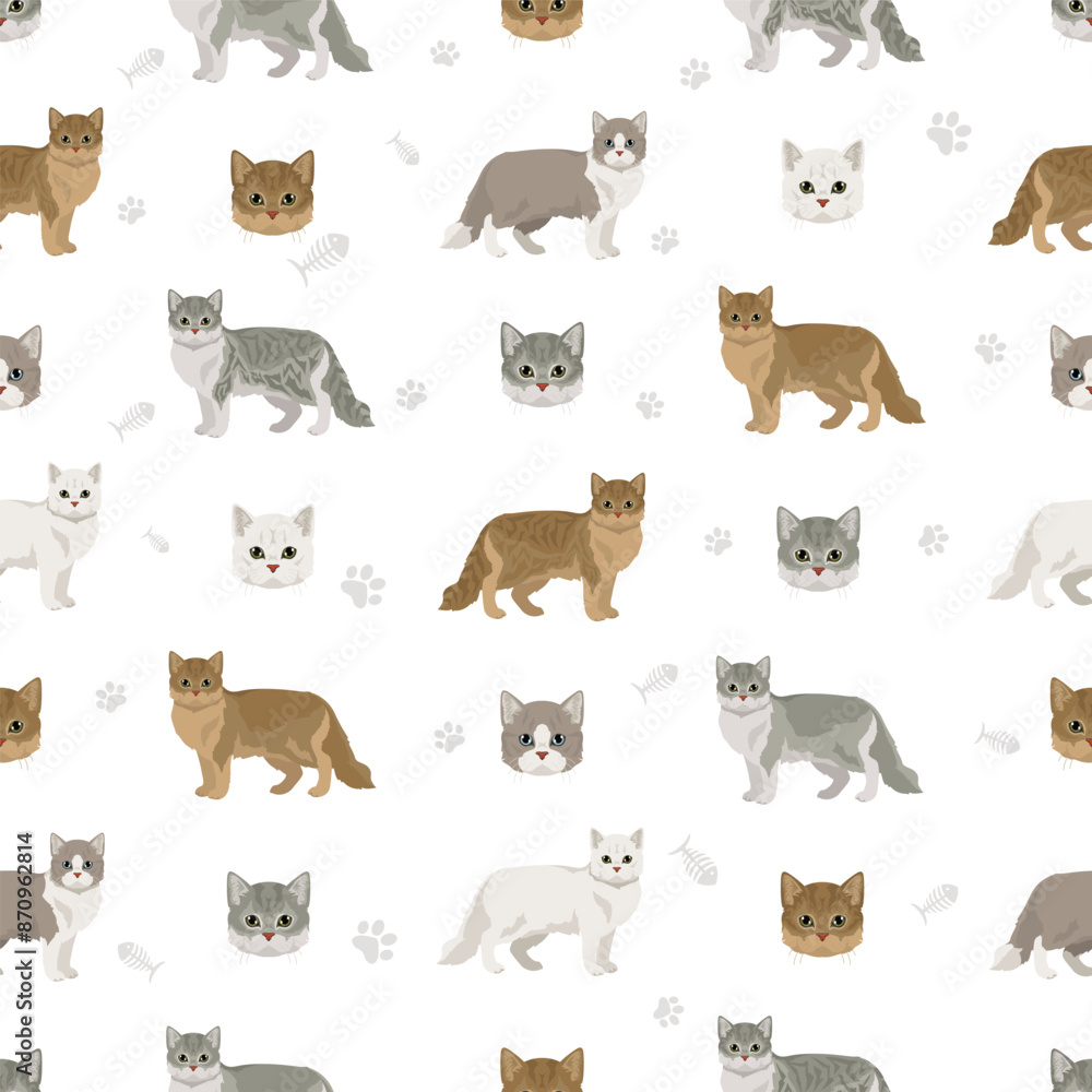 Fototapeta premium Tiffany Cat, Asian semi-longhair cat Tiffanie seamless pattern. All coat colors set. All cat breeds characteristics infographic