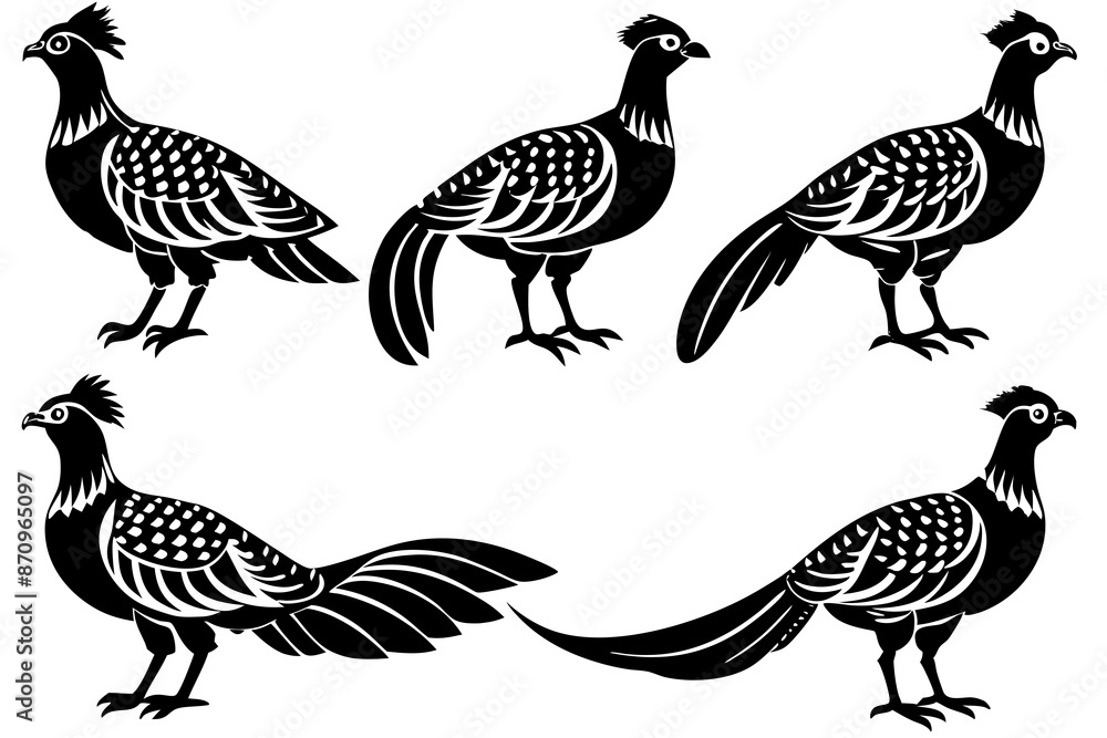 pheasant Bird vector silhouette set pheasant Bird vector silhouette set