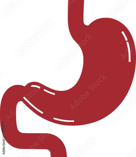 stomach as a digestive system organ of human body
