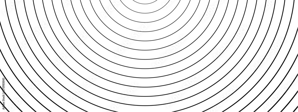 Sound wave irradiation or circular vibrations on the water surface. Circular quarter circle lines stripe background. Abstract radial pattern. Rectangular monochrome backdrop. Vector illustration. Sound wave irradiation or circular vibrations on the water surface. Circular quarter circle lines stripe background. Abstract radial pattern. Rectangular monochrome backdrop. Vector illustration.
