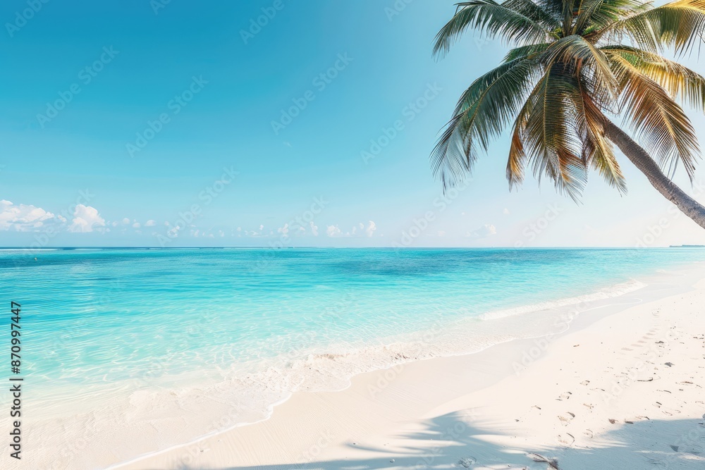 Fototapeta premium Idyllic beach with palm tree, tropical beach, paradise view