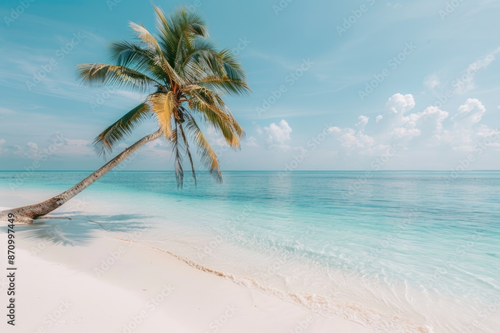 Idyllic beach with palm tree, tropical beach, paradise view Idyllic beach with palm tree, tropical beach, paradise view