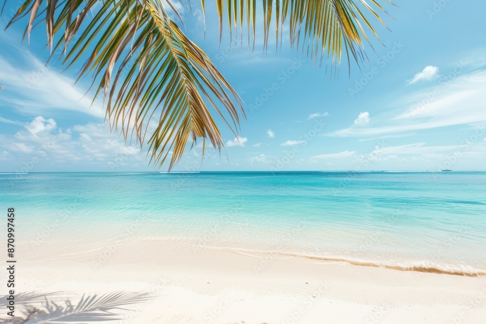 Fototapeta premium Idyllic beach with palm tree, tropical beach, paradise view