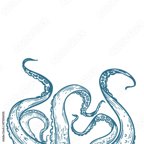 Octopus tentacles reaching upwards. Hand drawn sketch style drawing. Retro Marine style. Best for menu and nautical designs. Vector illustration.