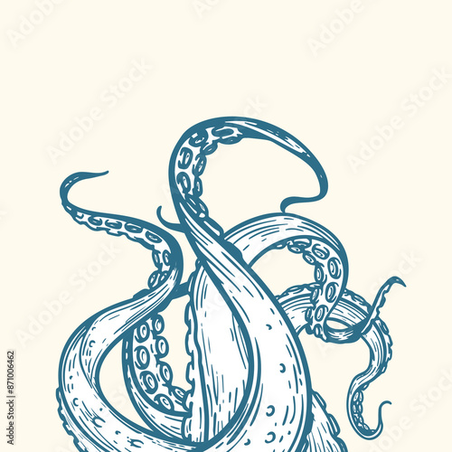 Octopus tentacles reaching upwards. Hand drawn sketch style drawing. Retro Marine style. Best for menu and nautical designs. Vector illustration.