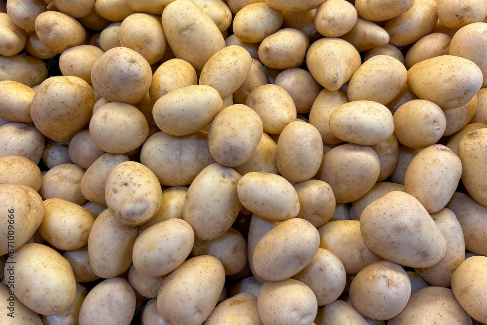 a close-up view of a large pile of clean, raw potatoes with light brown skin a close-up view of a large pile of clean, raw potatoes with light brown skin