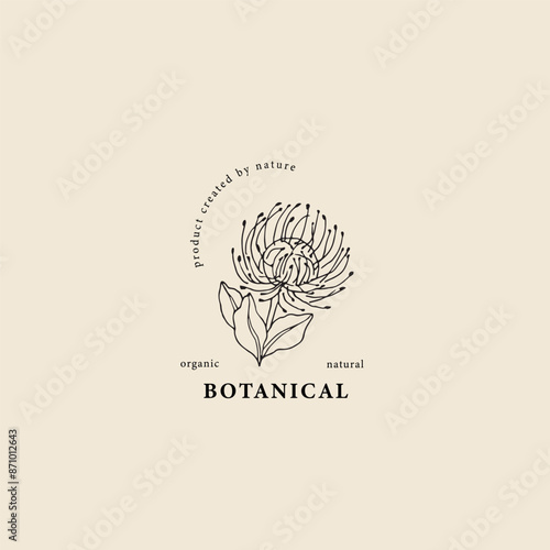 Hand drawn leucospermum or pincushion flower logo