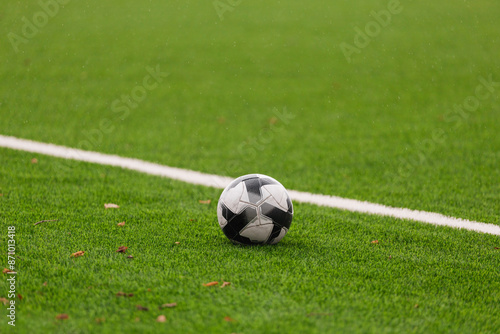 Soccer ball on a flat grass field - fallen autumn leaves on the grass - the beginning of a new football season photo