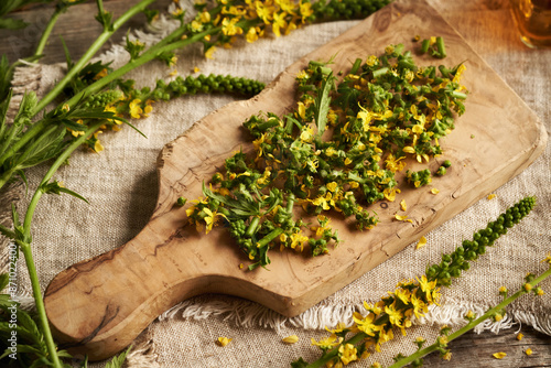 Preparation of herbal tincture from fresh chopped agrimony flowers