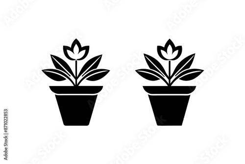 two flower in a pot silhouette vector illustrations