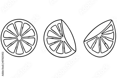 Lemon slices line art illustration citrus fruit design