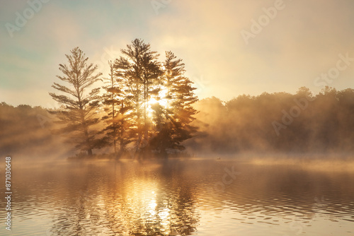 Fototapeta Naklejka Na Ścianę i Meble -  Small island with pine trees fog a loon and sunburst at dawn on a northern Minnesota lake during summer
