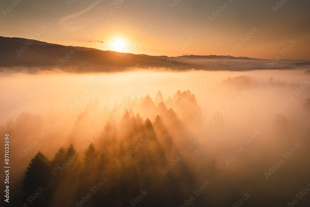Obraz premium Misty morning in Pieniny Mountains during summer sunrise