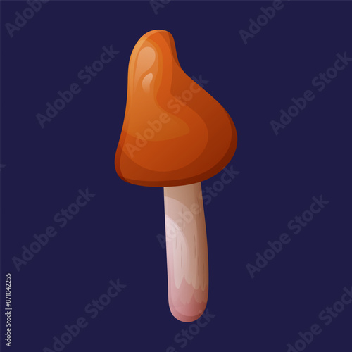 Small orange fungus. Mushroom design. Vector illustration of a mushroom. Pine boletus