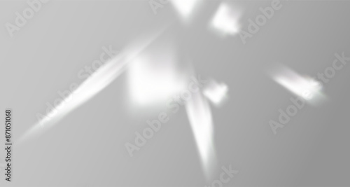 Glare from the sun's rays on the wall. Blurred shadows from leaves and plants in the room. Soft overlay of natural light. Abstract background for product presentation.Natural light layout.