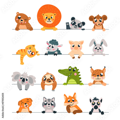 Animal looking out lines. Wild animals pets peeking out line. Childish cute banners or stickers. Cartoon lion koala sheep monkey, classy vector set