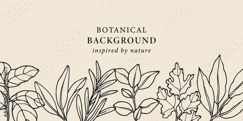 Hand drawn herbs and spices background