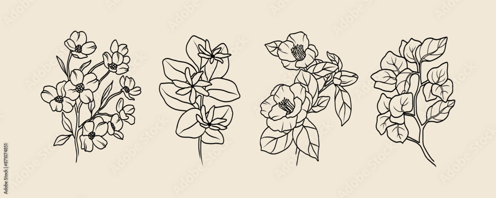 Fototapeta premium Line art flowers collection. Botanical illustration