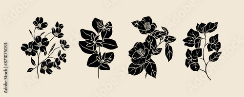 Flat vector flowers collection. Botanical illustration