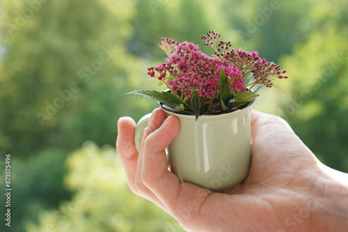 A man's hand holds an antique watering can with pink flowers.   photo