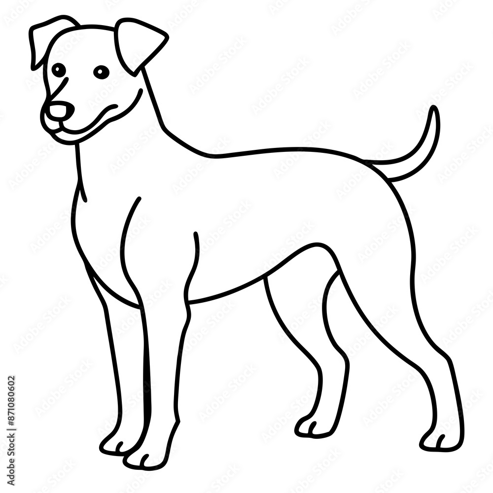 Stunning Animal Vector Illustrations for Your Creative Projects Stunning Animal Vector Illustrations for Your Creative Projects