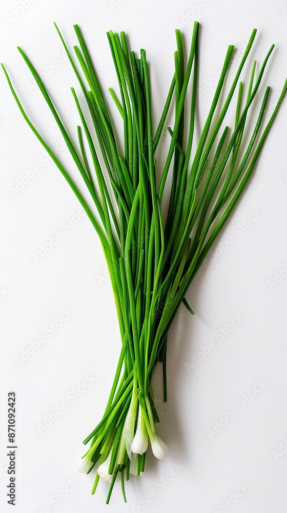 A bunch of fresh green chives with white flowers on a white background A bunch of fresh green chives with white flowers on a white background