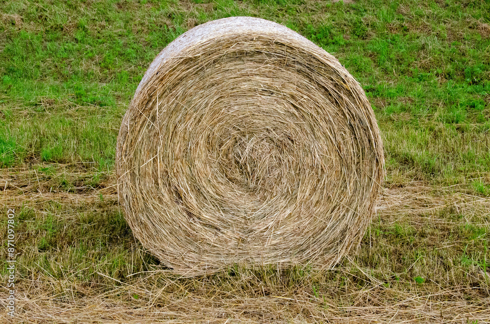 Hay bales. Hay bales are stacked on the field in large stacks. Harvesting in agriculture. Hay bales. Hay bales are stacked on the field in large stacks. Harvesting in agriculture.