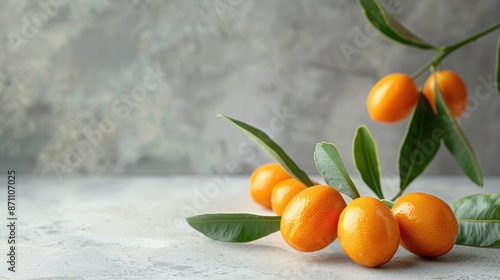 Small exotic citrus fruits called kumquats on white surface with gray backdrop