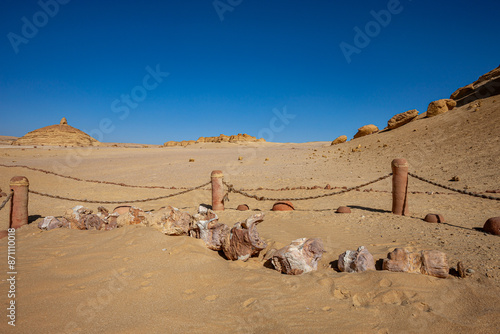 Egypt, Fayoum area, Wadi el Rayan, Whale Valley, Wadi el Hitan photo