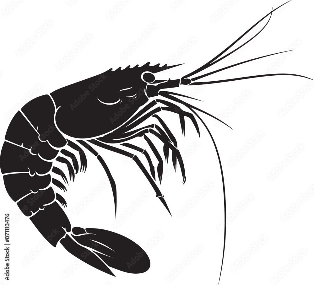 illustration of shrimp illustration of shrimp