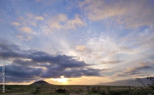 sunset over the field