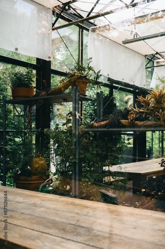 Obraz premium Interior of a greenhouse with potted plants and wooden tables